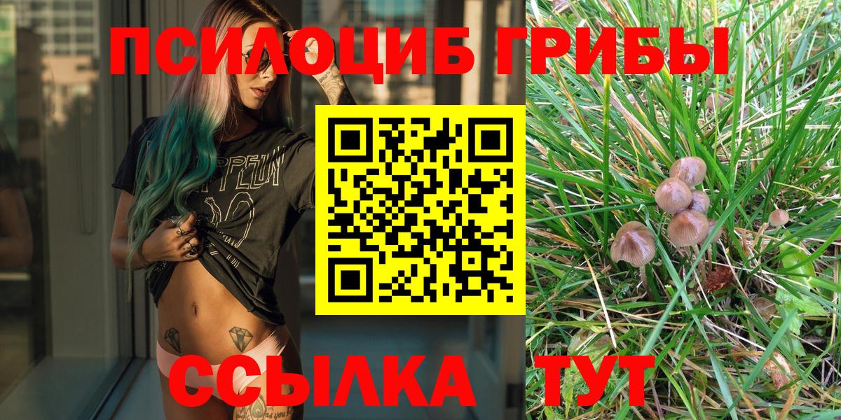 Галлюциногенные грибы ЛСД  Вход с VPN  Галлюциногенные грибы ЛСД  Междуреченск 